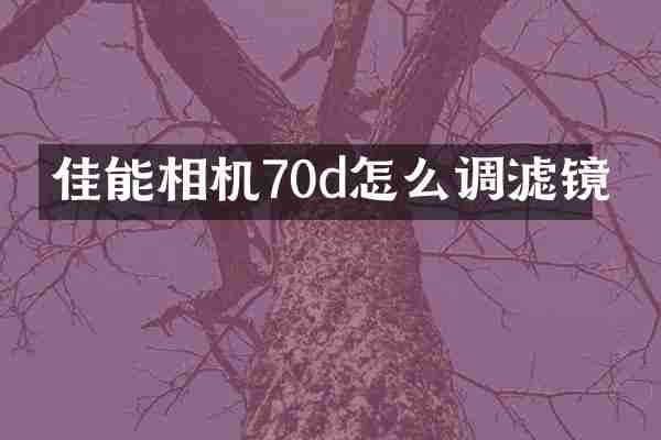 佳能相机70d怎么调滤镜