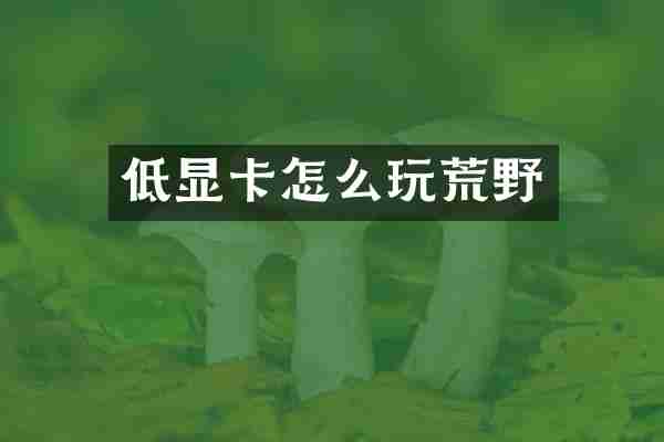 低显卡怎么玩荒野