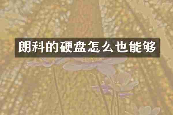 朗科的硬盘怎么也能够