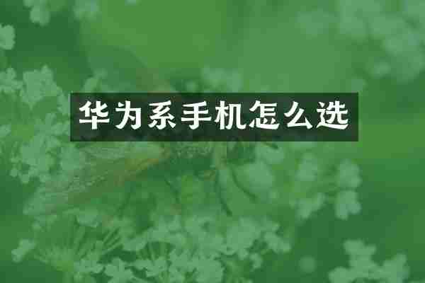 华为系手机怎么选