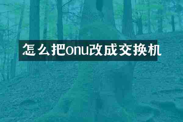 怎么把onu改成交换机