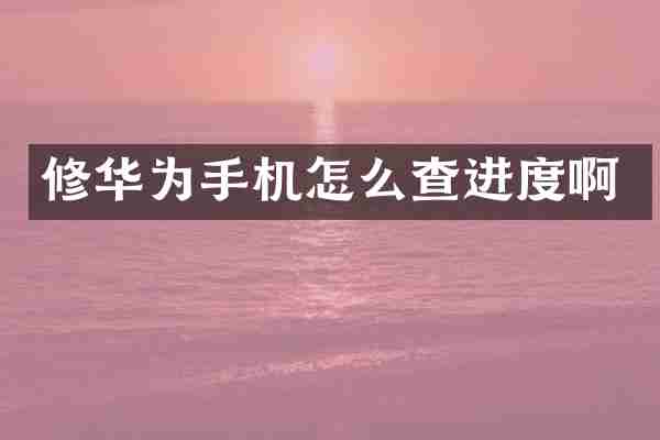 修华为手机怎么查进度啊