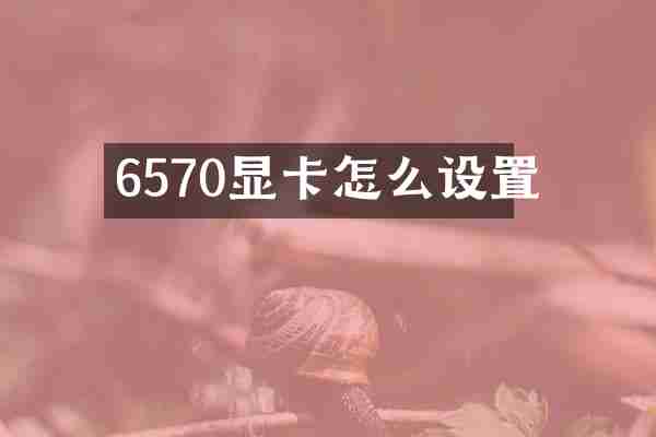 6570显卡怎么设置