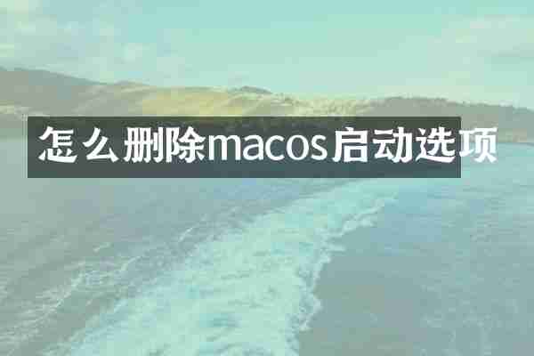 怎么删除macos启动选项