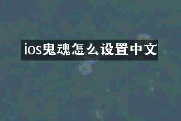 ios鬼魂怎么设置中文