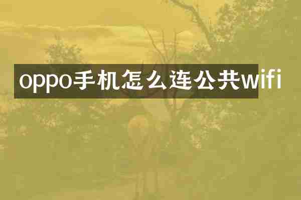 oppo手机怎么连公共wifi