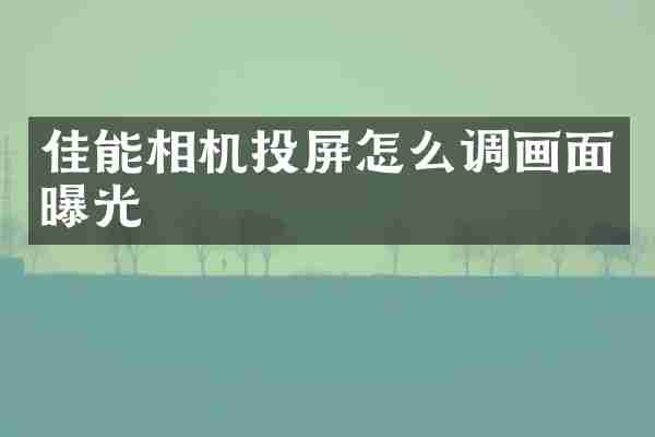 佳能相机投屏怎么调画面曝光