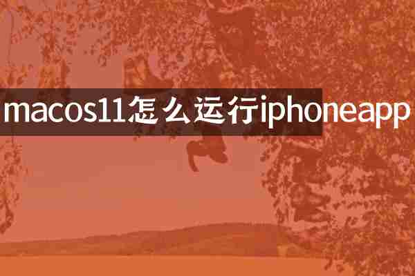 macos11怎么运行iphoneapp