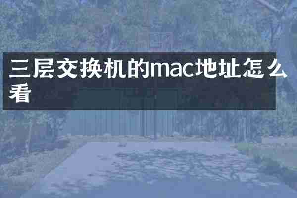 三层交换机的mac地址怎么看
