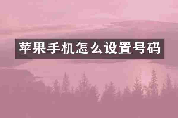 苹果手机怎么设置号码