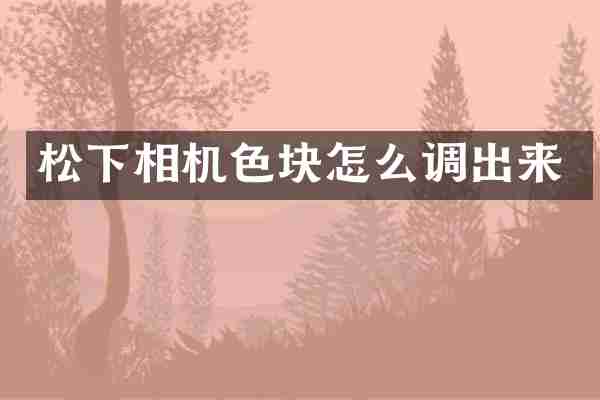 松下相机色块怎么调出来