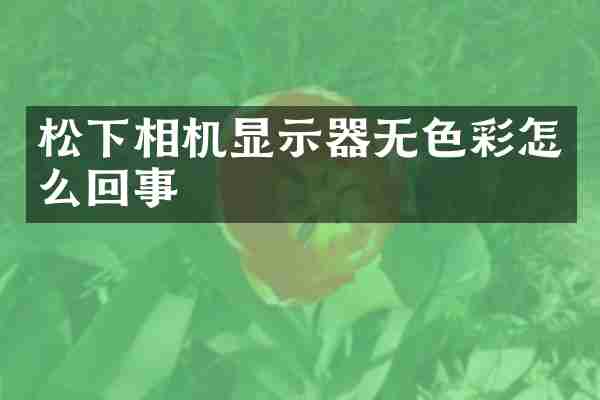 松下相机显示器无色彩怎么回事