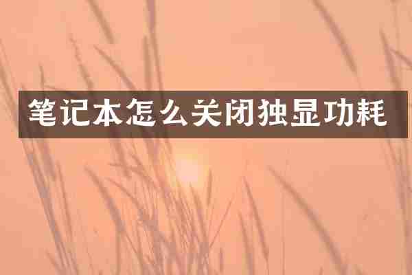 笔记本怎么关闭独显功耗