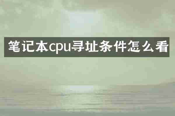 笔记本cpu寻址条件怎么看