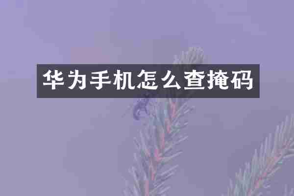 华为手机怎么查掩码