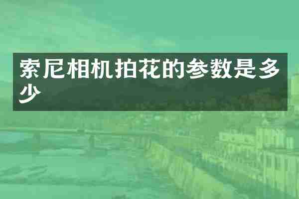 索尼相机拍花的参数是多少