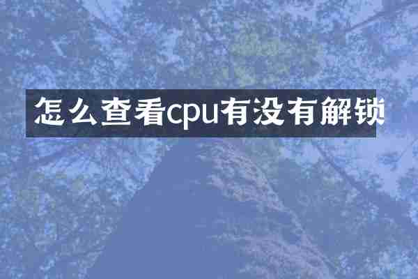 怎么查看cpu有没有解锁