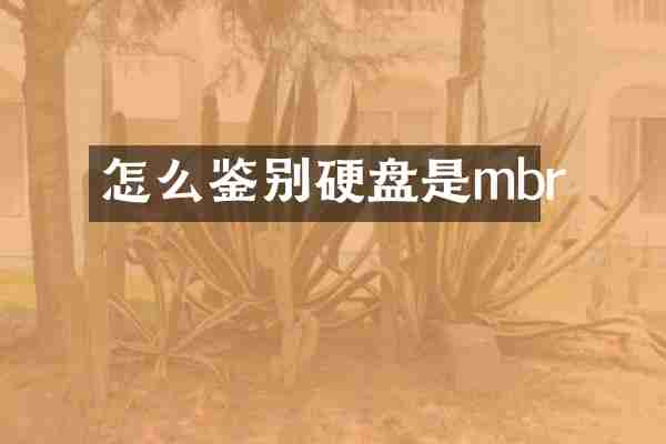 怎么鉴别硬盘是mbr
