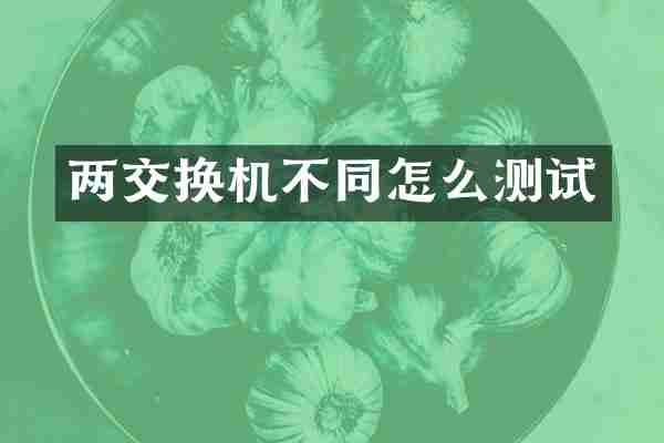 两交换机不同怎么测试