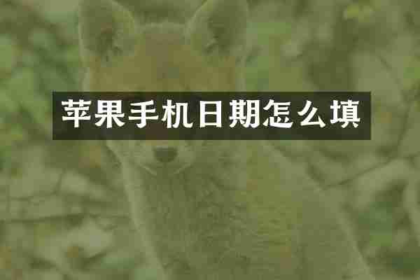 苹果手机日期怎么填