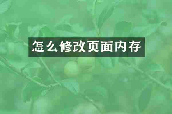 怎么修改页面内存