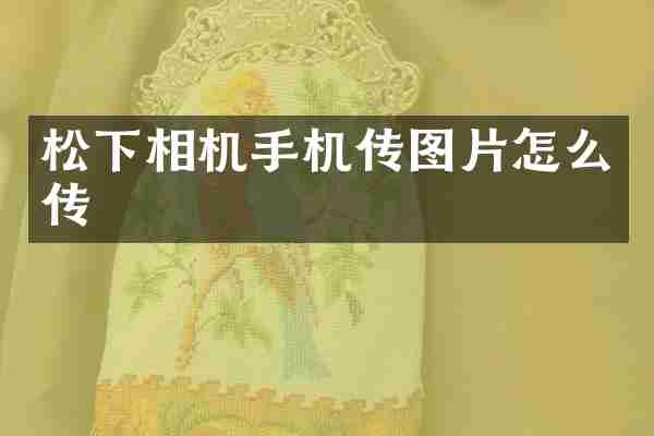 松下相机手机传图片怎么传