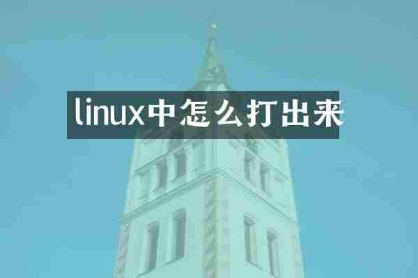 linux中怎么打出来