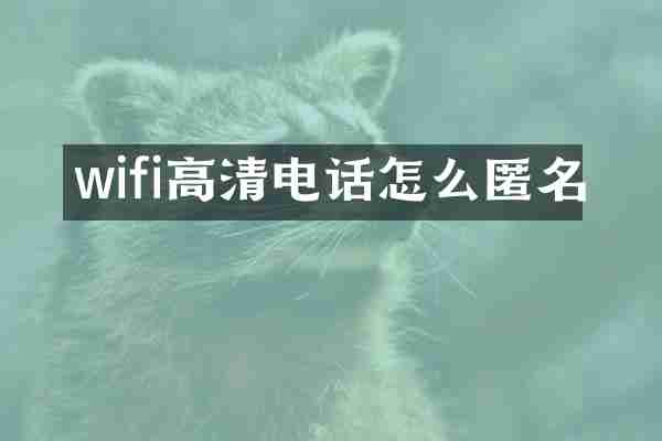 wifi高清电话怎么匿名