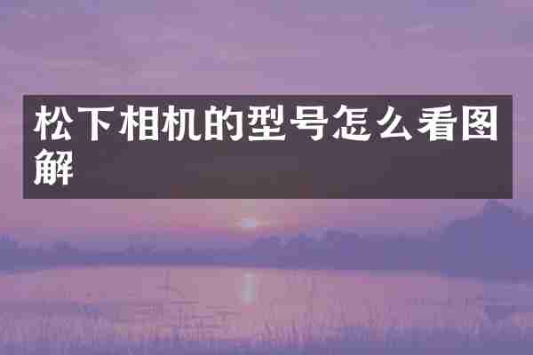 松下相机的型号怎么看图解