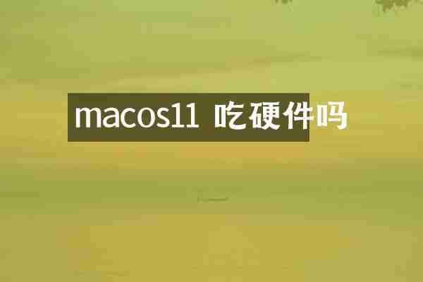 macos11 吃硬件吗