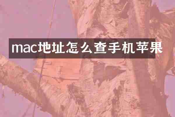 mac地址怎么查手机苹果