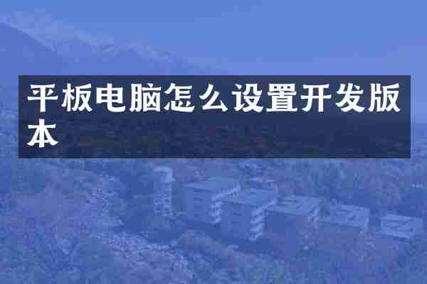 平板电脑怎么设置开发版本