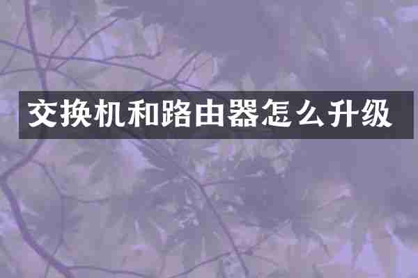 交换机和路由器怎么升级