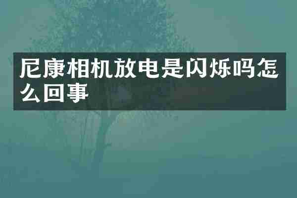 尼康相机放电是闪烁吗怎么回事