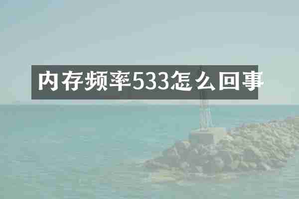 内存频率533怎么回事