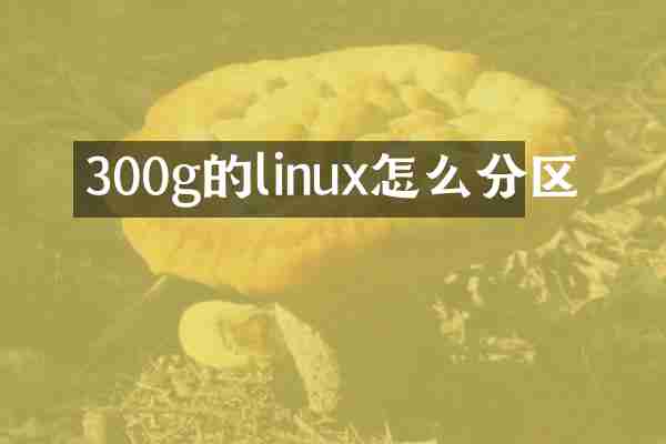 300g的linux怎么分区