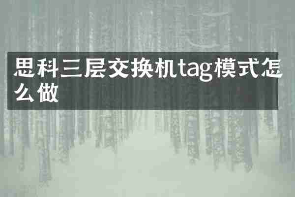 思科三层交换机tag模式怎么做