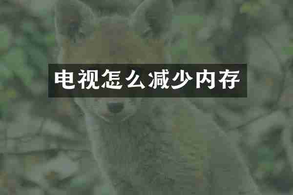 电视怎么减少内存