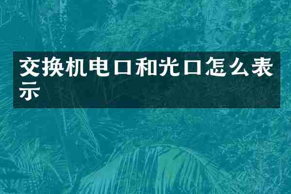 交换机电口和光口怎么表示