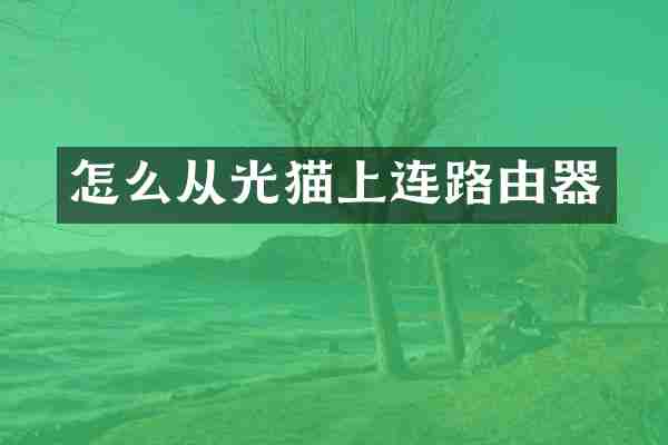 怎么从光猫上连路由器