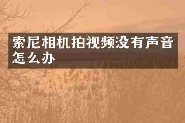 索尼相机拍视频没有声音怎么办