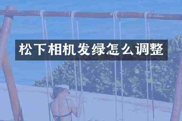 松下相机发绿怎么调整