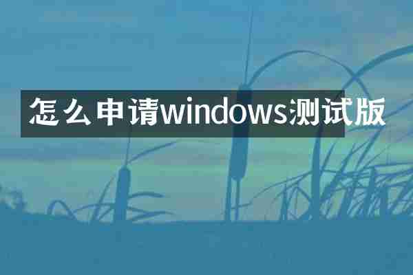 怎么申请windows测试版