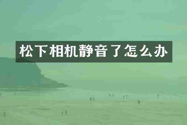 松下相机静音了怎么办