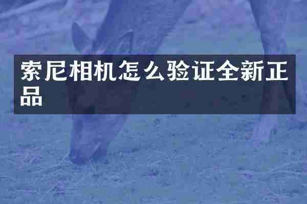 索尼相机怎么验证全新正品