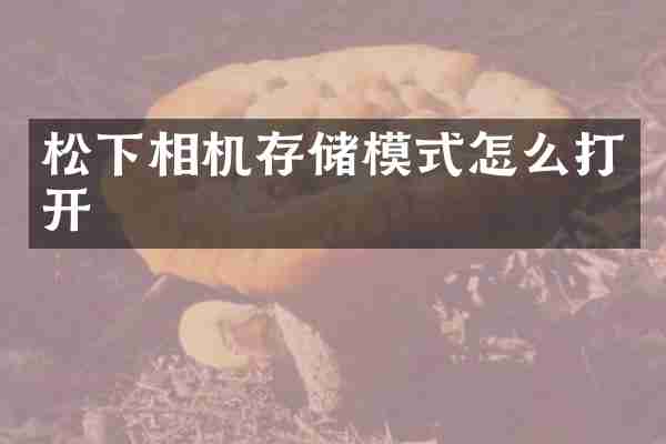 松下相机存储模式怎么打开