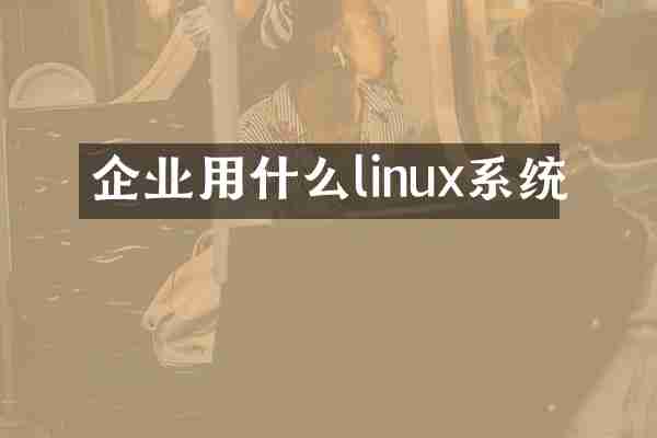 企业用什么linux系统
