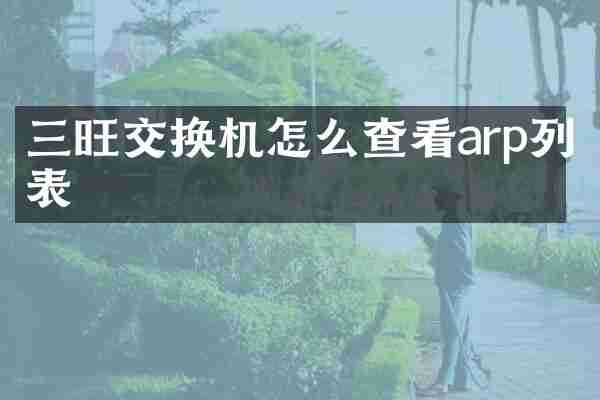 三旺交换机怎么查看arp列表