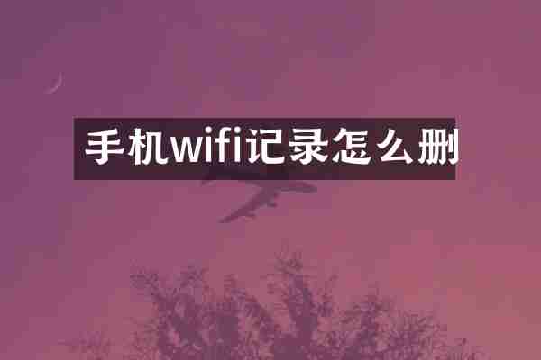手机wifi记录怎么删