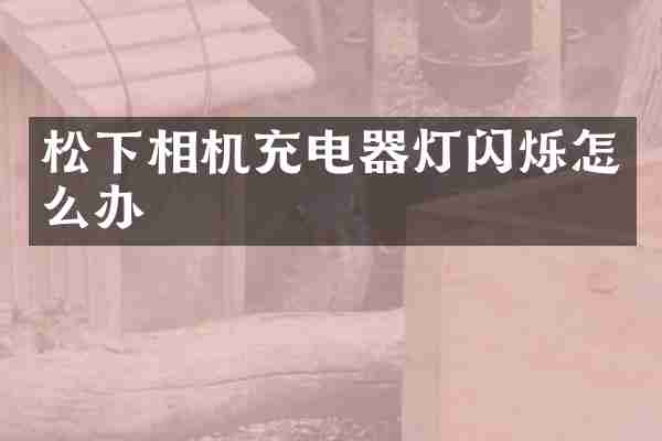 松下相机充电器灯闪烁怎么办
